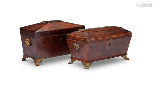 Two Regency thuya wood tea caddies