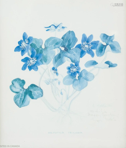 Print on Paper Blue Flowers Lyn Noble
