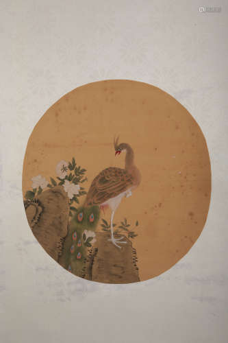 A CHINESE PEACOCK PAINTING SCROLL, UNKNOWN PAINTER