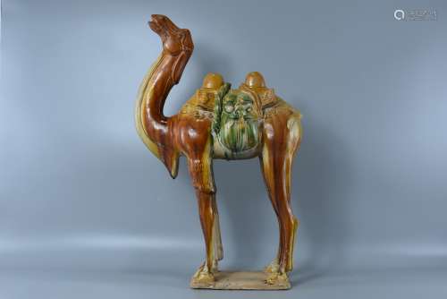 Tang Sancai Camel