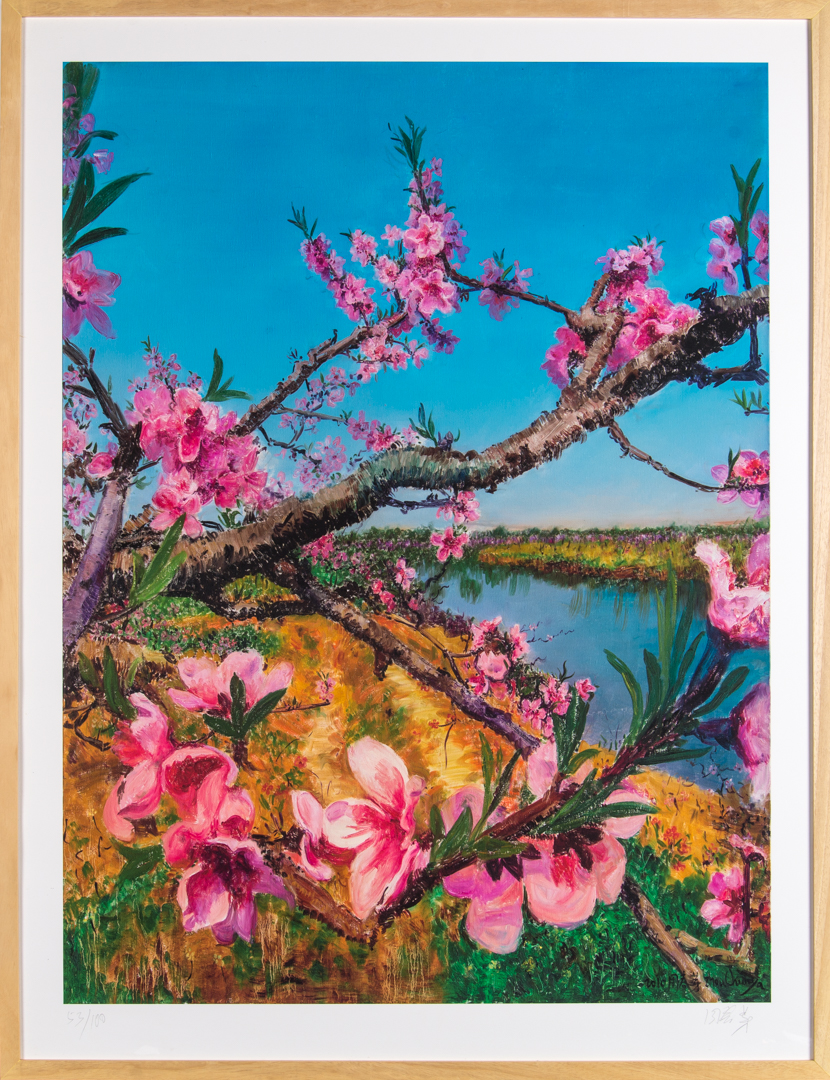周春芽桃花代表作图片