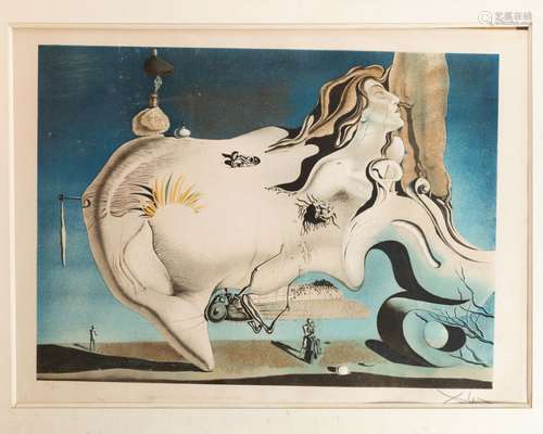 Salvador DALI (1904-1989), d'après