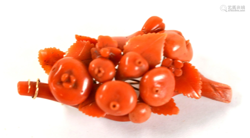 14K Gold Mounted Coral Brooch