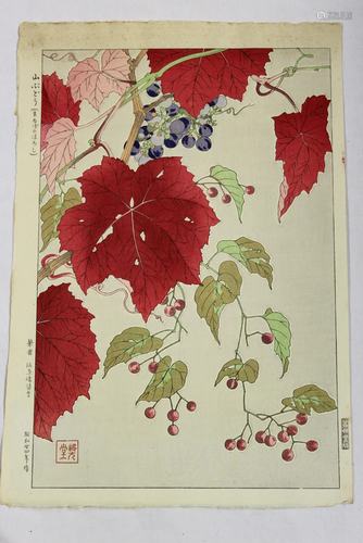 Japanese woodblock print, wild grape.