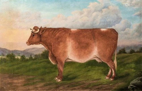 Jersey Bull Cow Oil Painting