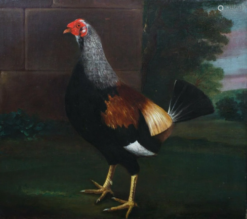 Cockerel Oil Painting