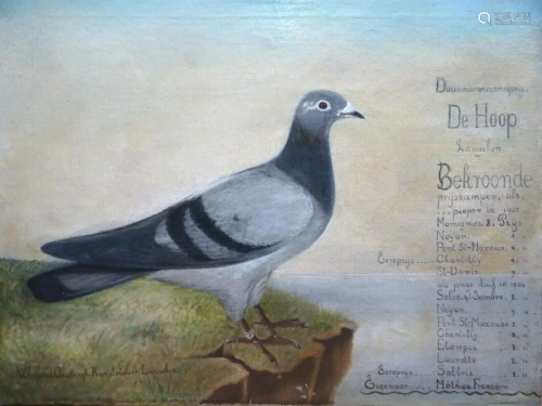 Racing Pigeon Oil Painting