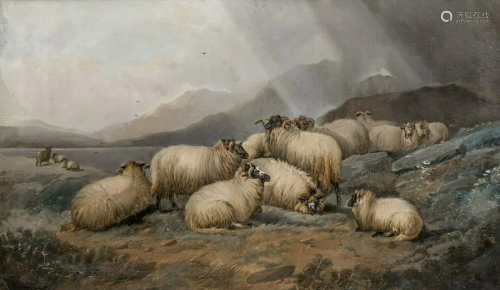 Sheep Resting Oil Painting