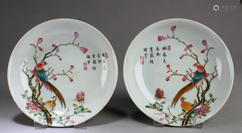 A Pair of Chinese Porcelain Plates