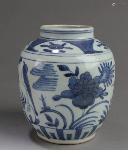 Chinese Blue & White Porcelain Jar