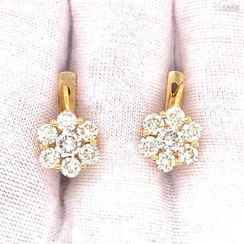 14k Fancy Diamond Rosetta Earrings