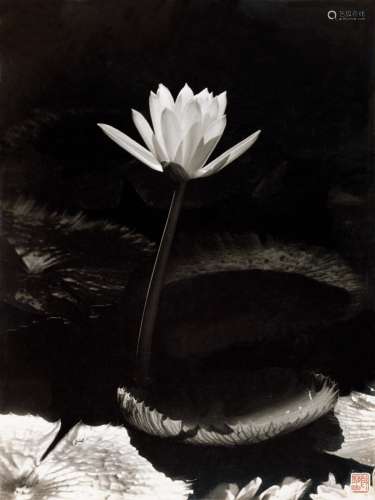 郎静山（1891～1995） 荷 照片 银盐纸基