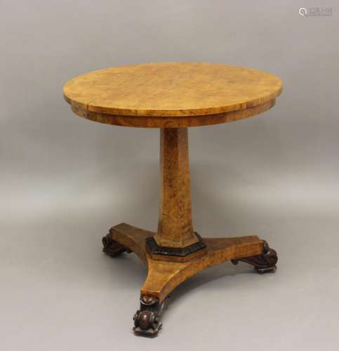 A GEORGE IV BURR MAPLE OCCASIONAL TABLE. With a circular top...