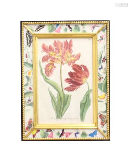 A SET OF SIX ANTIQUE STYLE PRINTS OF TULIPS. Coloured prints...