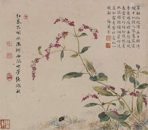 梅兰芳 花卉虫草