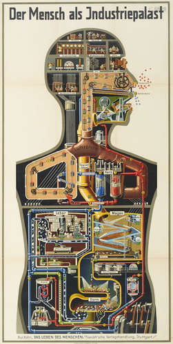 Fritz Kahn. Das Leben des Menschen. 5