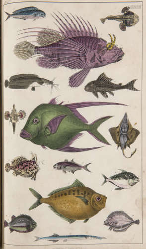 Zoologie - - Oliver Goldsmith. A