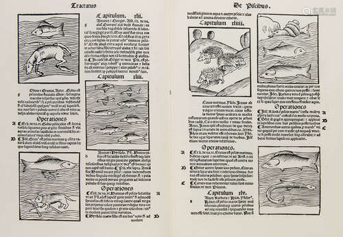 Zoologie - - Sammlung von 3 naturwissenschaftlichen Faksimil...