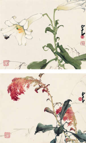 赵少昂（1905～1998） 花卉 （二帧） 镜片 设色纸本