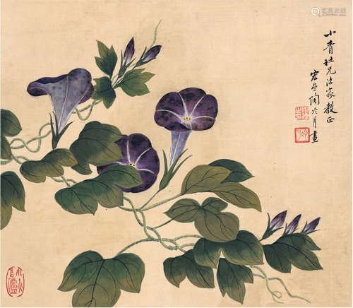 陶冷月（1895～1985） 为程小青作 牵牛花 立轴 设色绢本