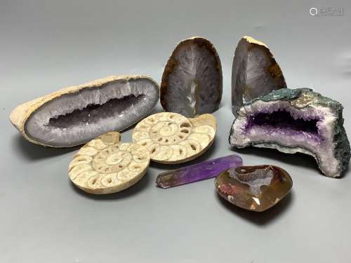 Three quartz half geode specimens, two ammonite fossils, a a...