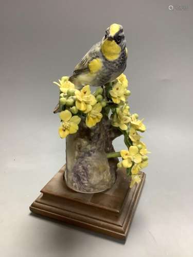 A Royal Worcester porcelain bird on stand, 23cm high