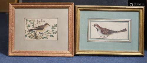 Early 17th century French SchoolTwo bird studies, one title ...