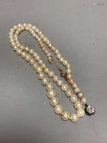 An early 20th century single strand graduated cultured? pear...