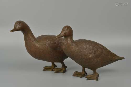 A pair of broze ducks