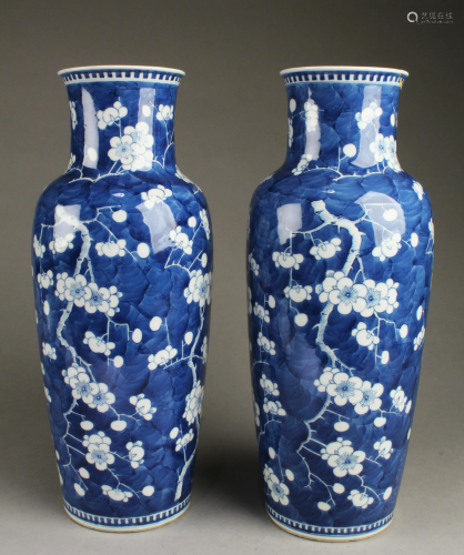 A Pair of Chinese Blue & White Porcelain Vases