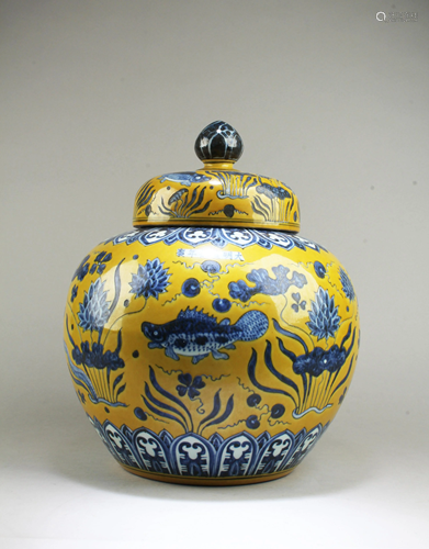 Chinese Famille Jaune porcelain Jar