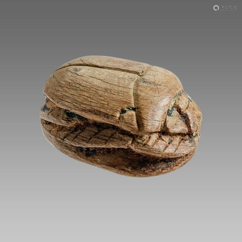 Ancient Egyptian Steatite stone Scarab c.1500-1100 BCE.