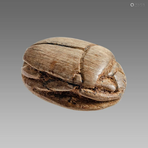 Ancient Egyptian Steatite stone Scarab c.1500-1100 BCE.