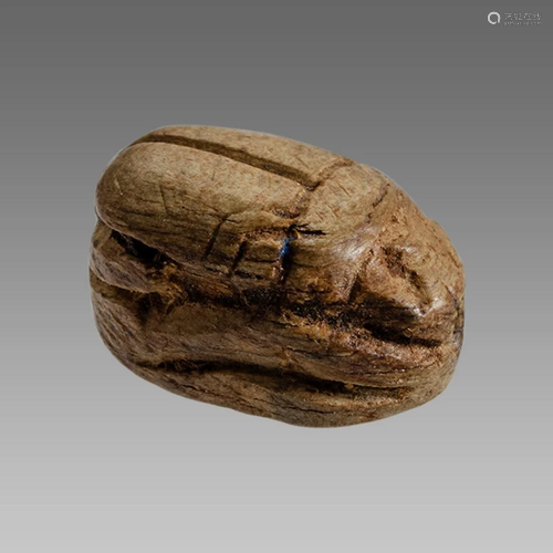 Ancient Egyptian Steatite stone Scarab c.1500-1100 BCE.