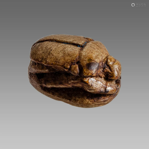 Ancient Egyptian Steatite stone Scarab c.1500-1100 BCE.