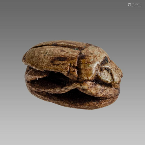 Ancient Egyptian Steatite stone Scarab c.1500-1100 BCE.