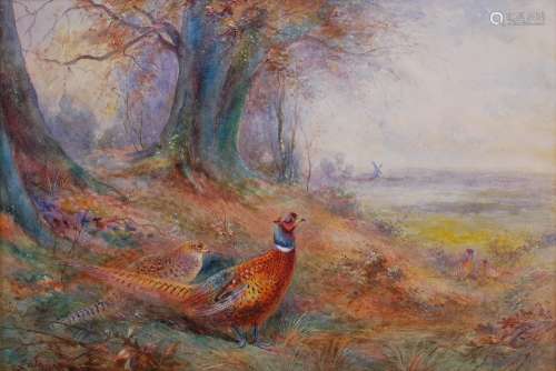 AR James Stinton (1870-1961) Cock and Hen Pheasants in Autum...