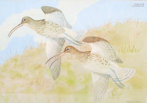AR Ralston Gudgeon RSW (1910-1984) A pair of Curlews in flig...