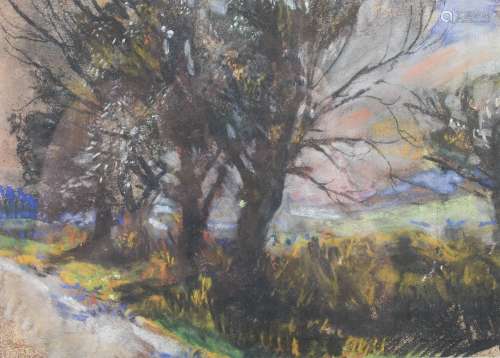 Angus Neil (b.1924) Tree study charcoal and coloured chalk s...