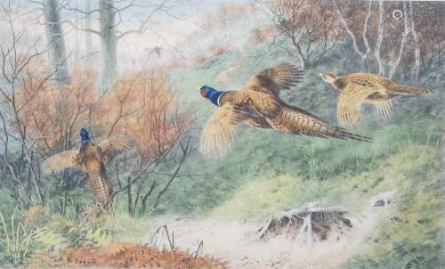 After Archibald Thorburn The Glory of Autumn and The Twelfth...