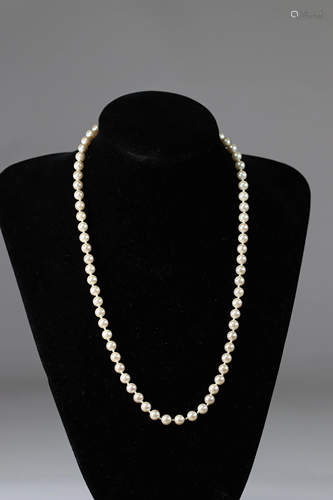 Pearl necklace