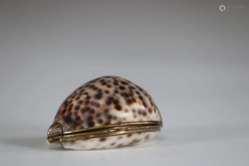 Shell snuffbox mounted in box