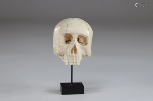 Memento mori important sculpture of a skull 19th