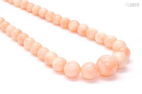 A single row graduated angel skin coral bead necklace,