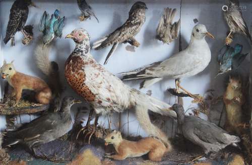 TAXIDERMY: A cased Victorian taxidermy display, including a ...