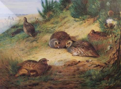 Archibald Thorburn (1860-1935), Game bird scenes, Three limi...