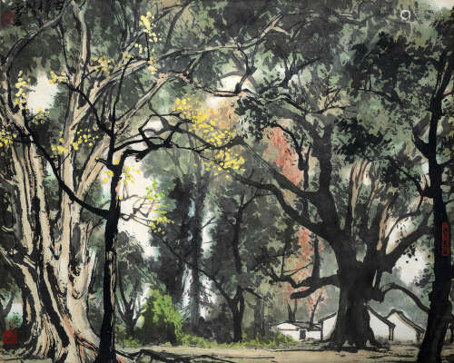 白雪石（1915～2011） 古樟树 镜心 设色纸本