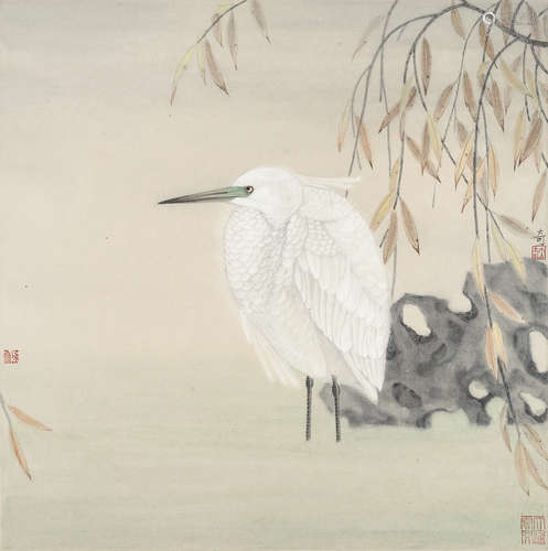 杨立奇（b.1979） 鹭鸶 镜心 设色纸本