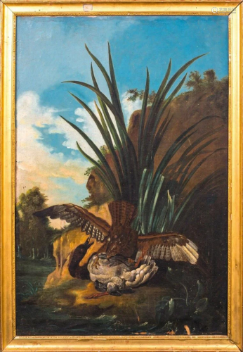 Hawk Attacking A Duck Oil Painting