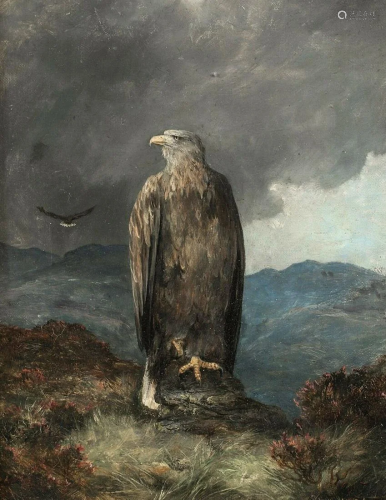 Golden Eagle Oil Painting